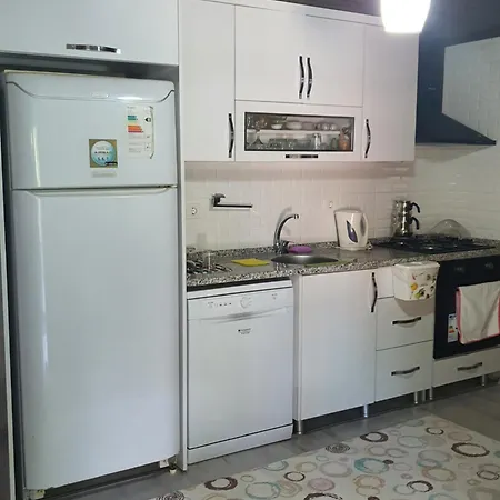 Mert Ortaca (Mugla)